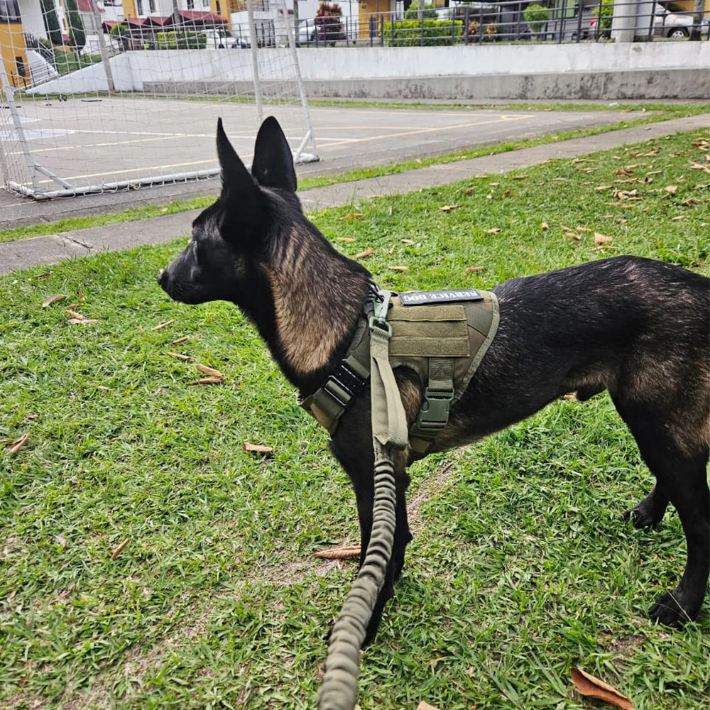 Tactical Military Dog Harness & Leash Set — No-Pull Training Vest for Large Dogs