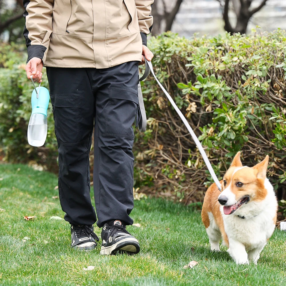 Portable Dog Water Bottle — Leak-Proof Travel Dispenser for Dogs & Cats