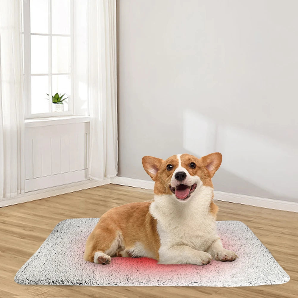Self-Warming Pet Bed Mat — Cozy Indoor Blanket for Small Cats & Dogs, No Electricity