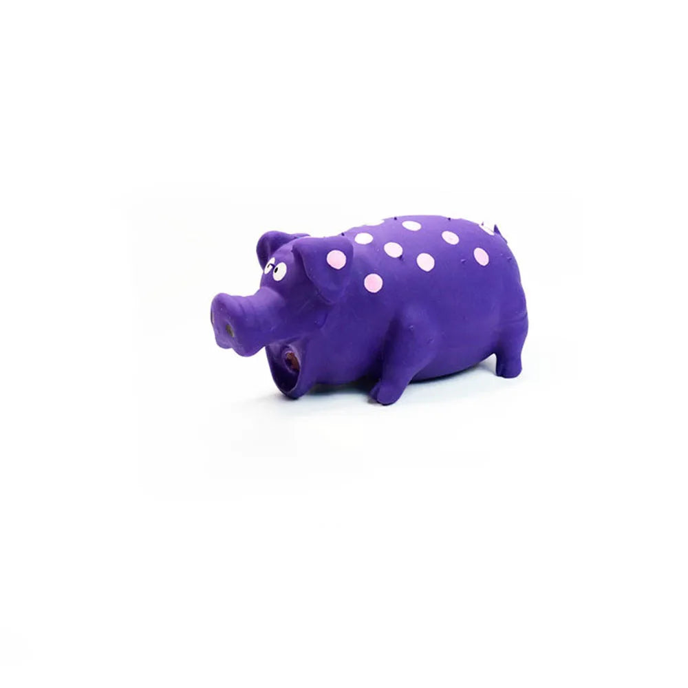 Squeaky Latex Pig Dog Toy — Durable Chew & Molar Toy for Dogs