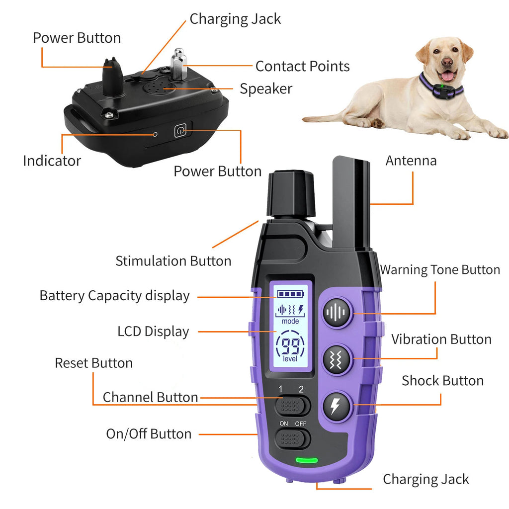 Electric Dog Training Collar with Remote — 3300Ft Range, Waterproof, Shock & Vibration