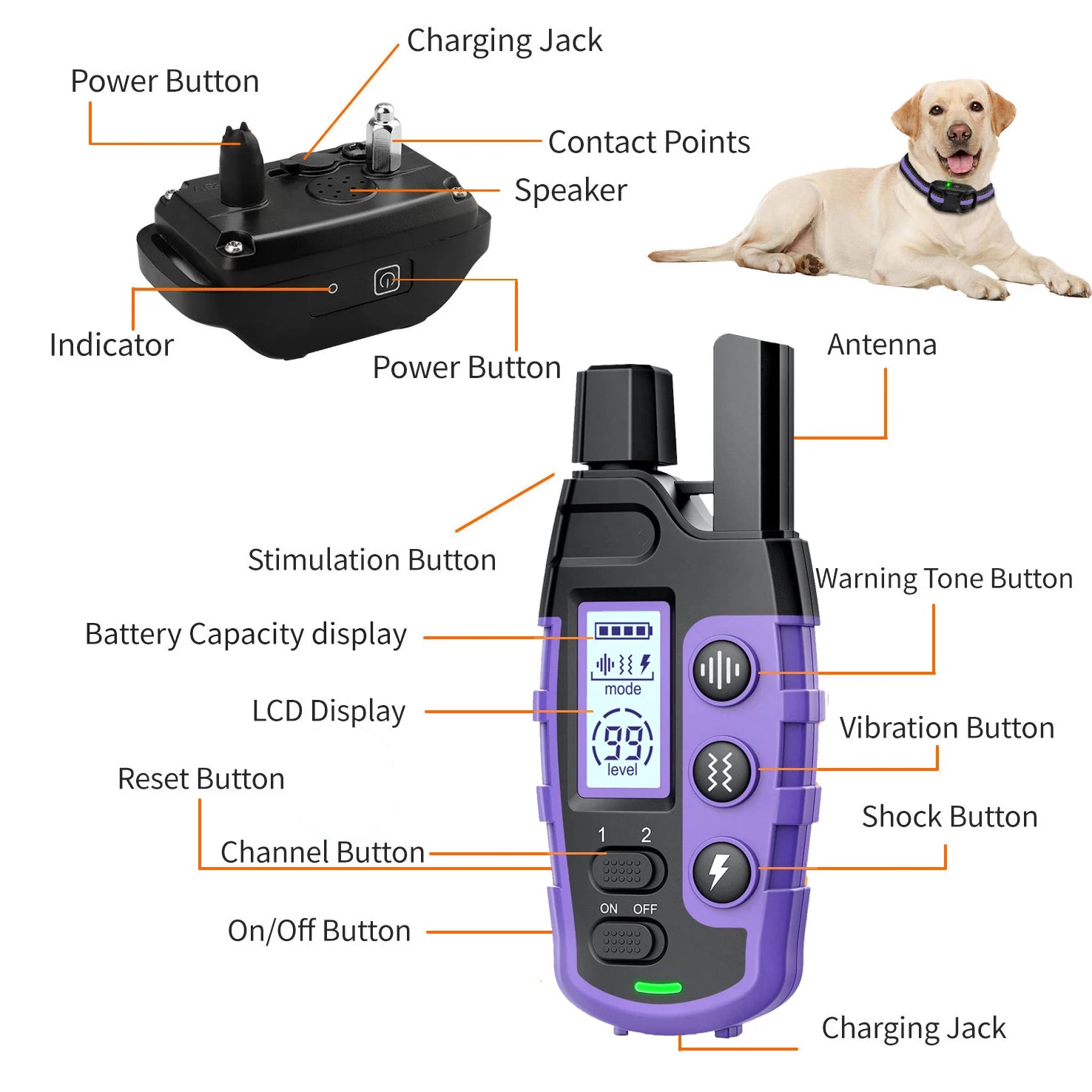 Electric Dog Training Collar with Remote — 3300Ft Range, Waterproof, Shock & Vibration