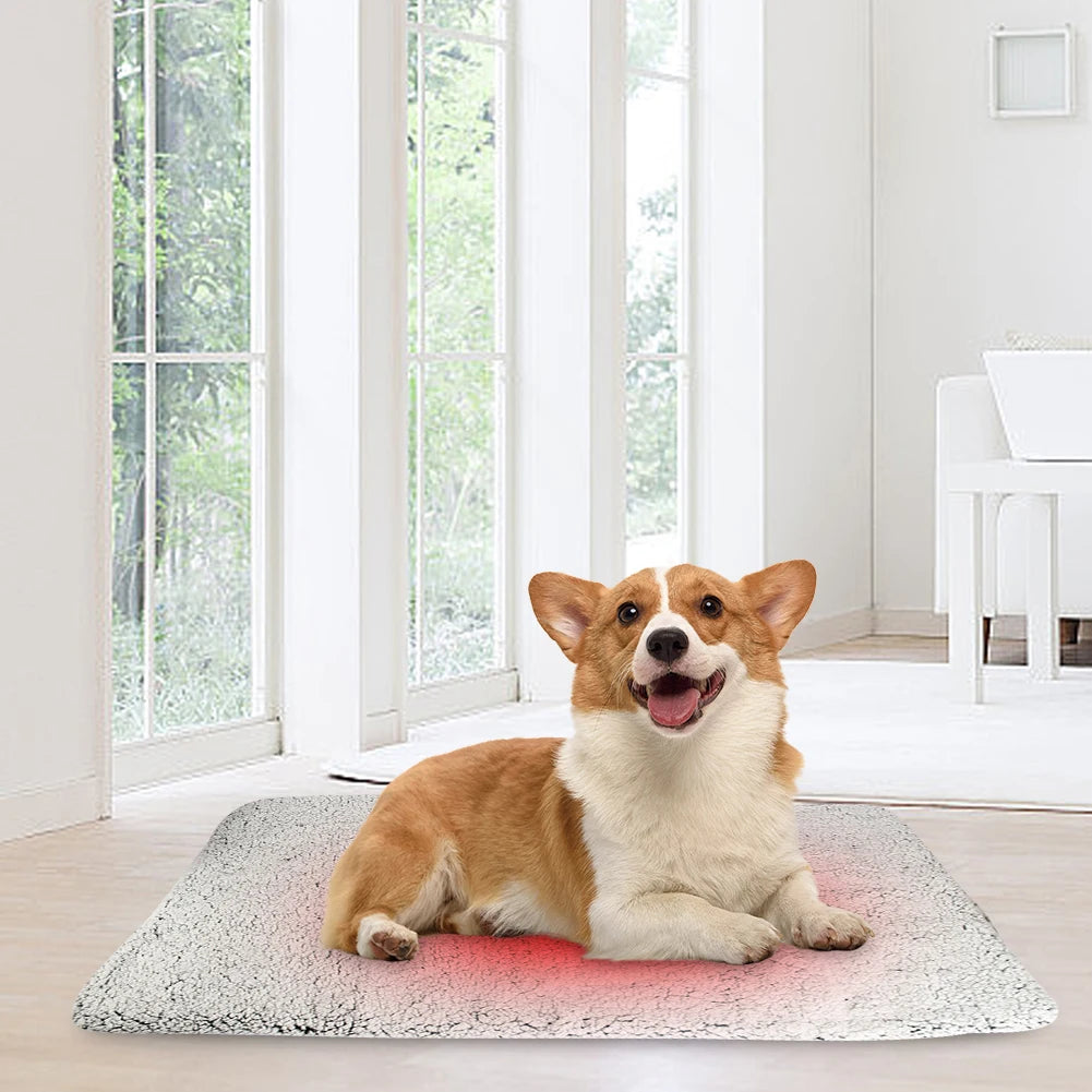 Self-Warming Pet Bed Mat — Cozy Indoor Blanket for Small Cats & Dogs, No Electricity