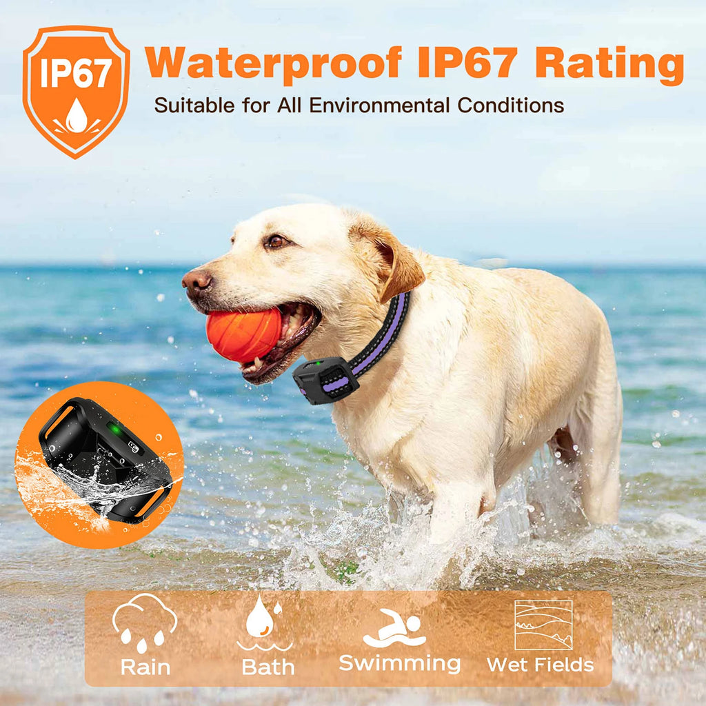 Electric Dog Training Collar with Remote — 3300Ft Range, Waterproof, Shock & Vibration
