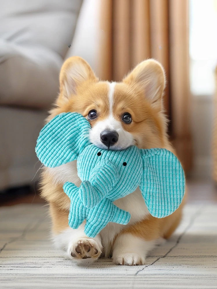 Squeaky Goose Plush Dog Toy — Crinkle Chew Toy for Dogs & Cats