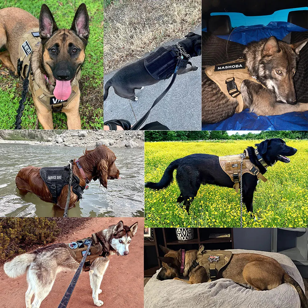 Tactical Military Dog Harness & Leash Set — No-Pull Training Vest for Large Dogs
