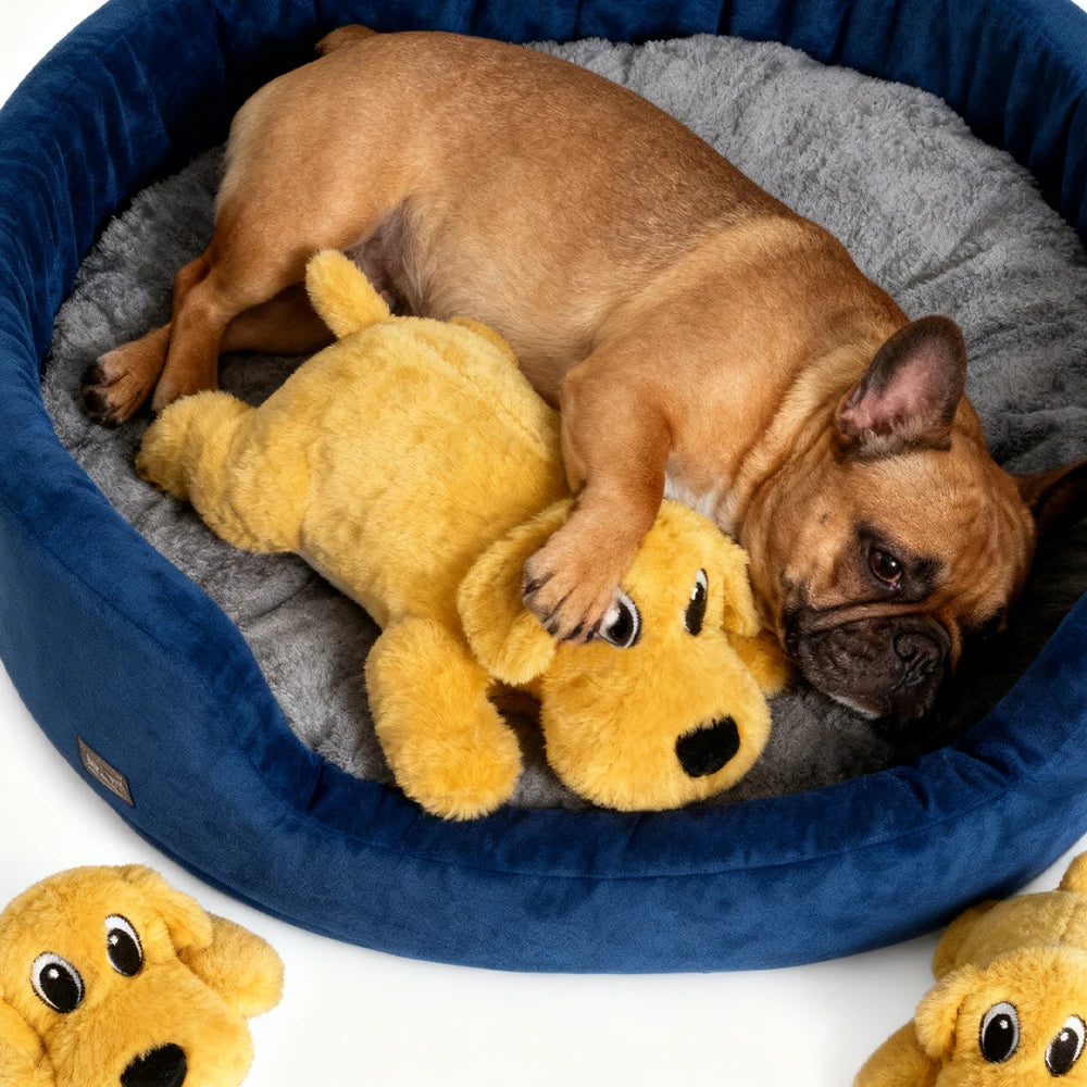 Interactive Soothing Plush Toy for Pets — Tear-Resistant & Washable