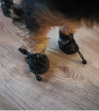 Waterproof Dog Boots – Set of 4 | Anti-Slip Rain Shoes for Pets