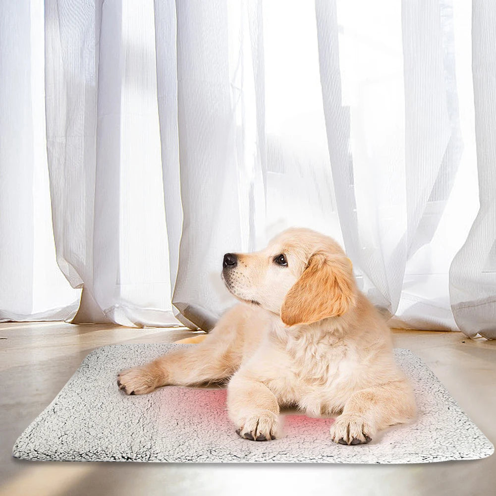 Self-Warming Pet Bed Mat — Cozy Indoor Blanket for Small Cats & Dogs, No Electricity